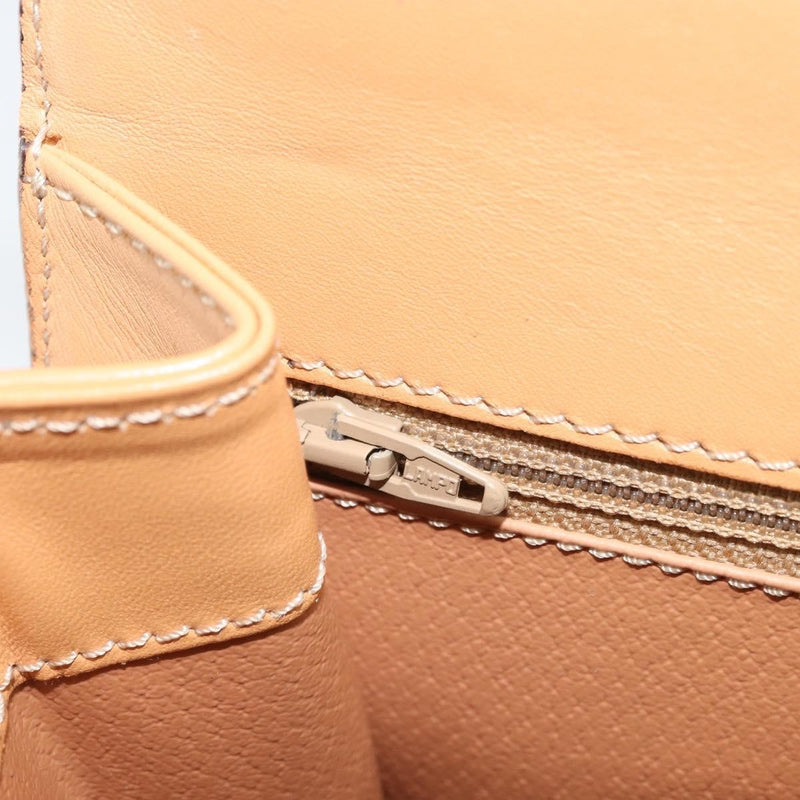 Celine Handbag Canvas Brown Bag