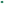         Green Polyamide Swim Shorts