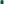         Green Polyamide Swim Shorts