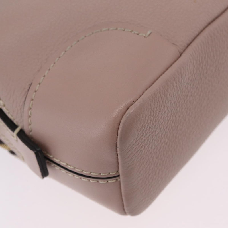 Chloe Daria Chain Leather Pink Bag