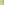         Lime Yellow Polyester Pants