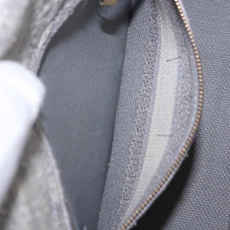Christian Dior Lady Embroidered Canvas Gray Bag