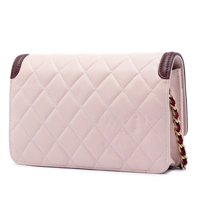 Mini Quilted Lambskin Two Tone Day Flap - Image 2