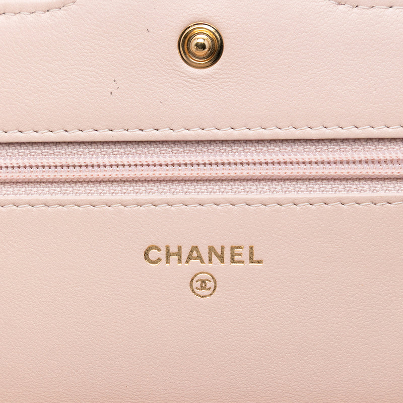 Mini Quilted Lambskin Two Tone Day Flap - Image 5