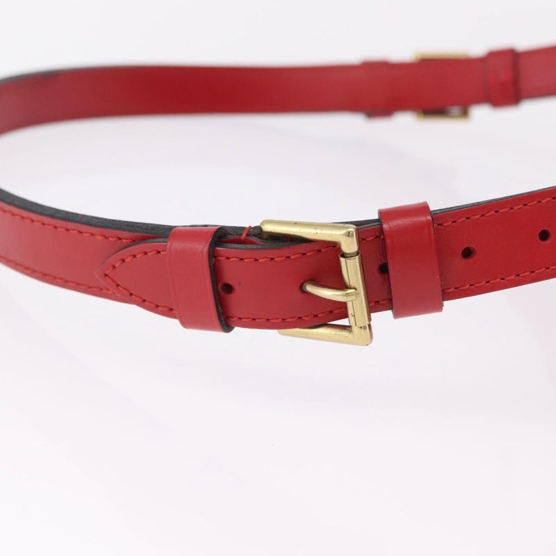 Louis Vuitton Petit Noe Nm Epi Leather Red Bag