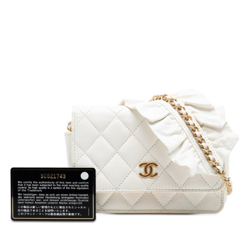 Quilted Lambskin Romance Wallet On Chain - Image 7