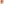         Beige Cotton Pant