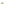         Green Plexiglass Platform Sandals