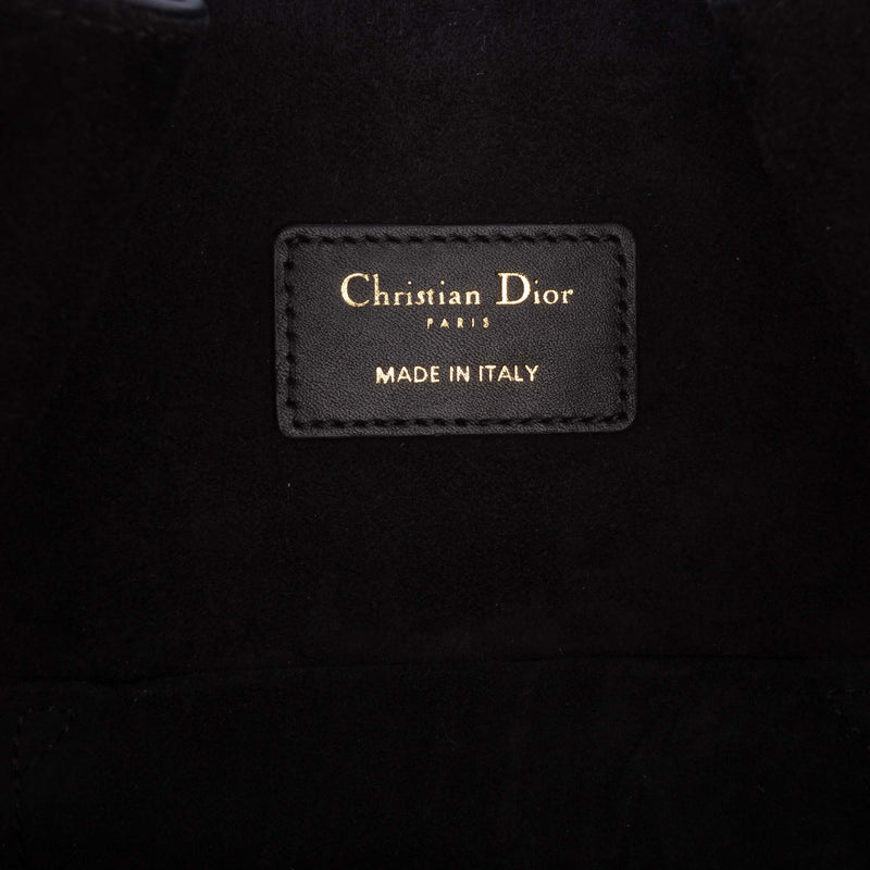 Medium Calfskin Cest Dior Bucket Bag - Image 5