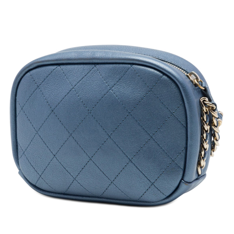 Small Quilted Metallic Goatskin Casual Trip Camera Bag - Image 2