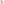         Pink Wool Shorts