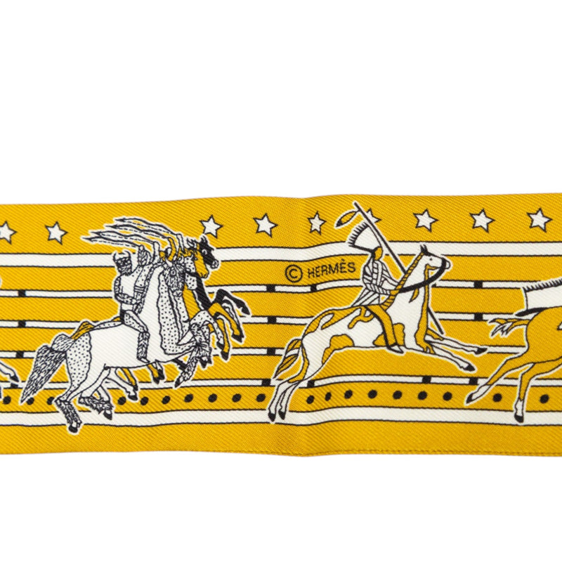 Pani La Shar Pawnee Twilly Silk Scarf - Image 3