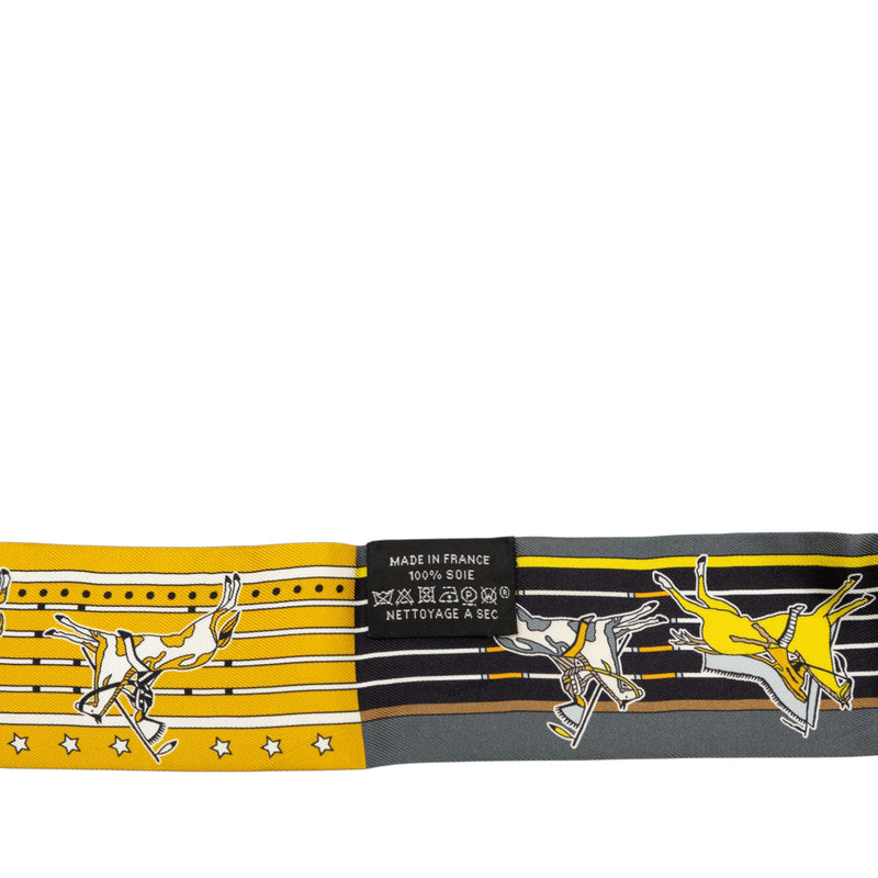 Pani La Shar Pawnee Twilly Silk Scarf - Image 4