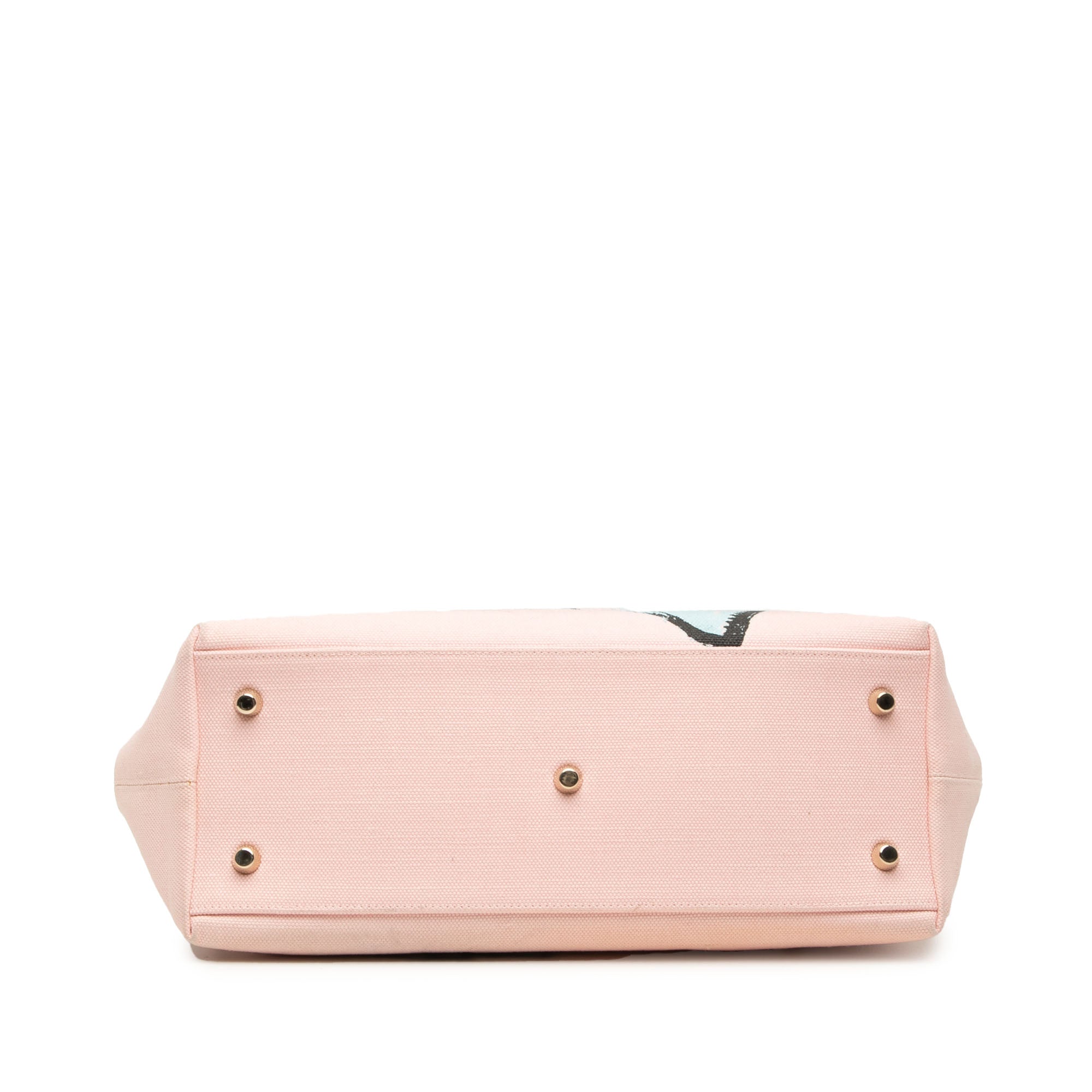 Limited Edition Medium Canvas Floral Printed Diorissimo Satchel - Image 3