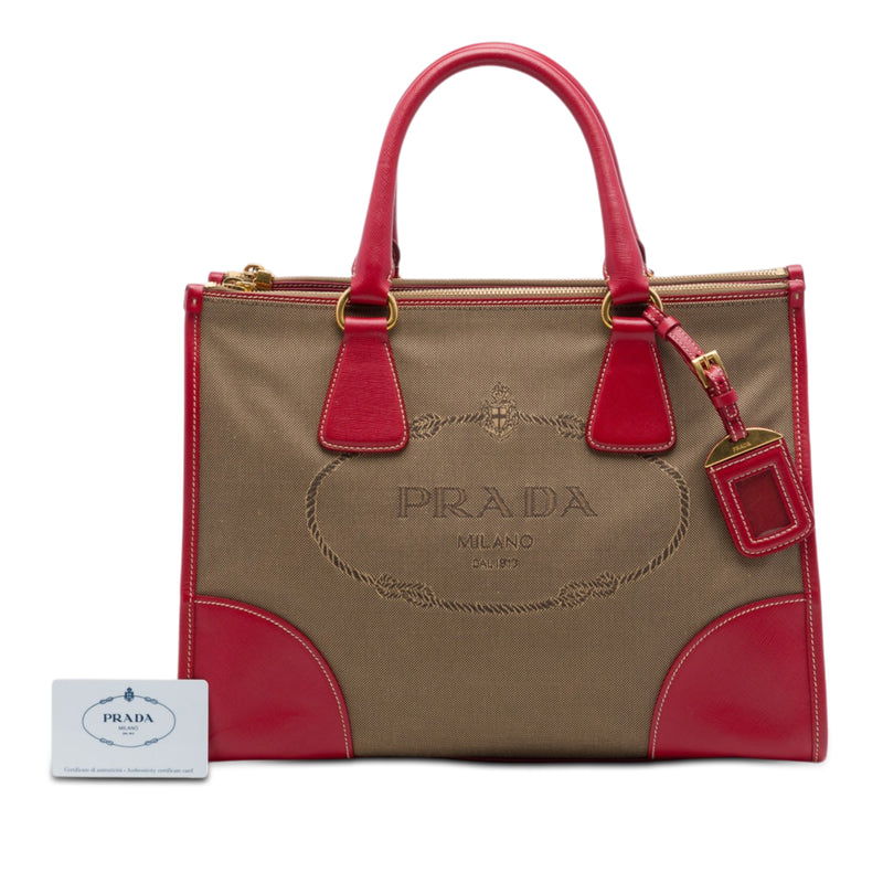 Saffiano Trimmed Canvas Canapa Logo Double Zip Satchel - Image 7