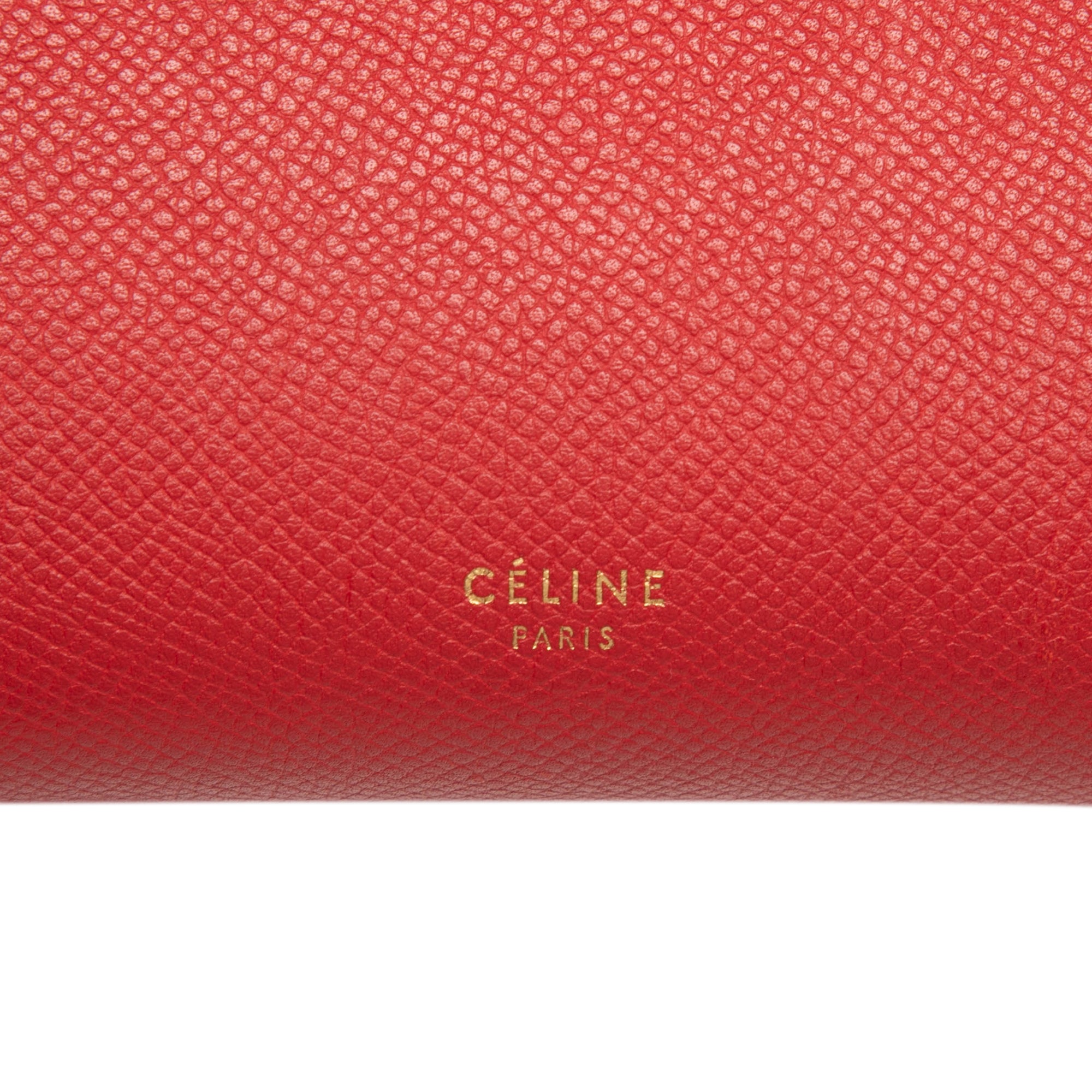 Micro Grained Calfskin Belt Bag - Image 5