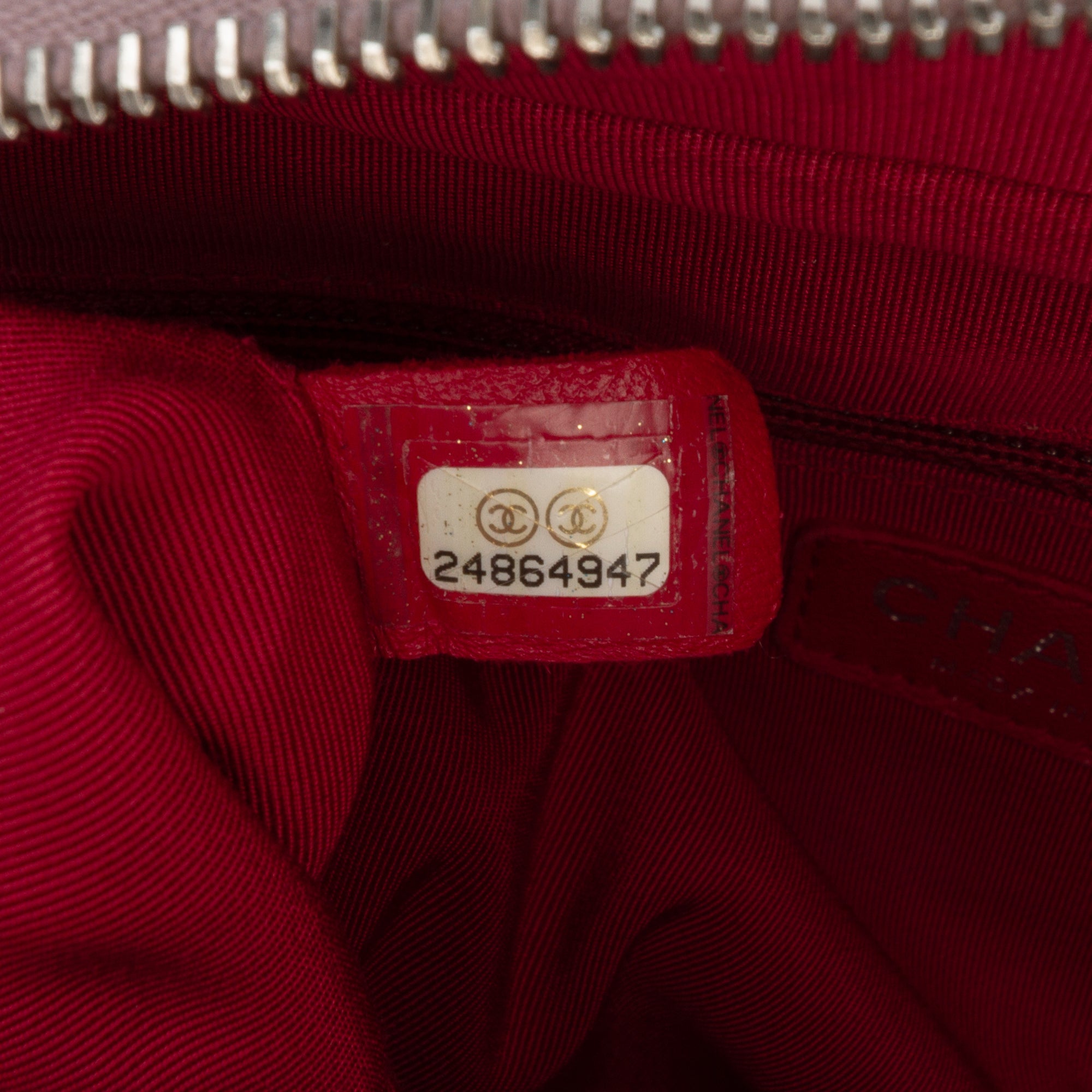 Medium Iridescent Calfskin Gabrielle Crossbody - Image 6