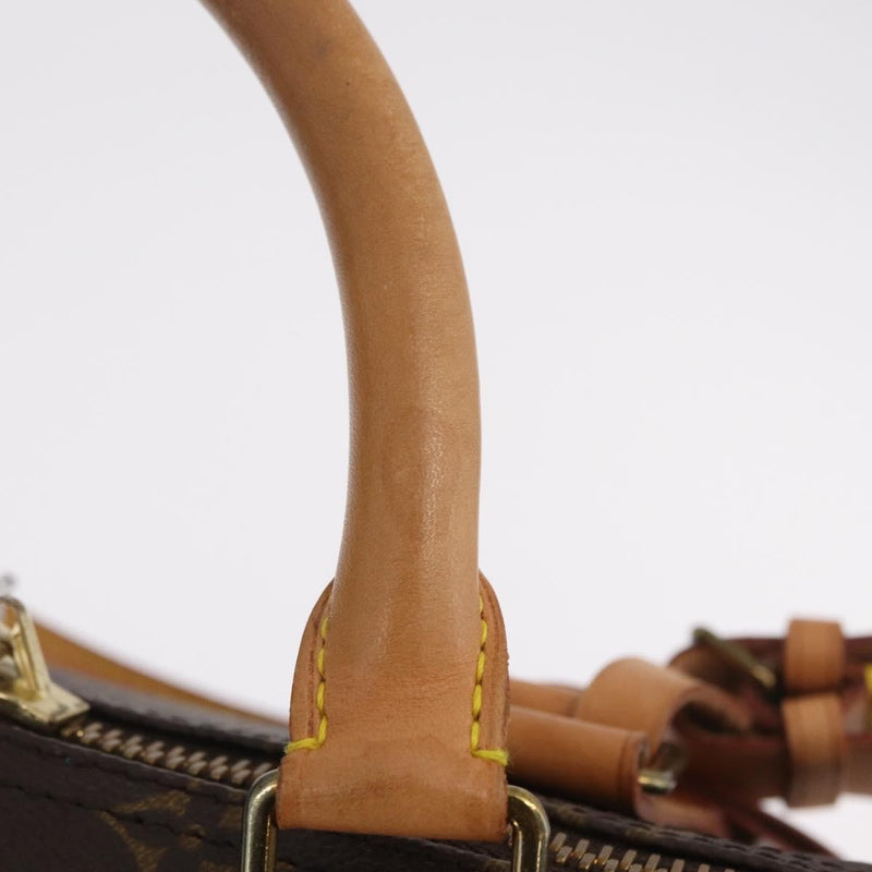 Louis Vuitton Keepall Monogram Canvas Brown Bag