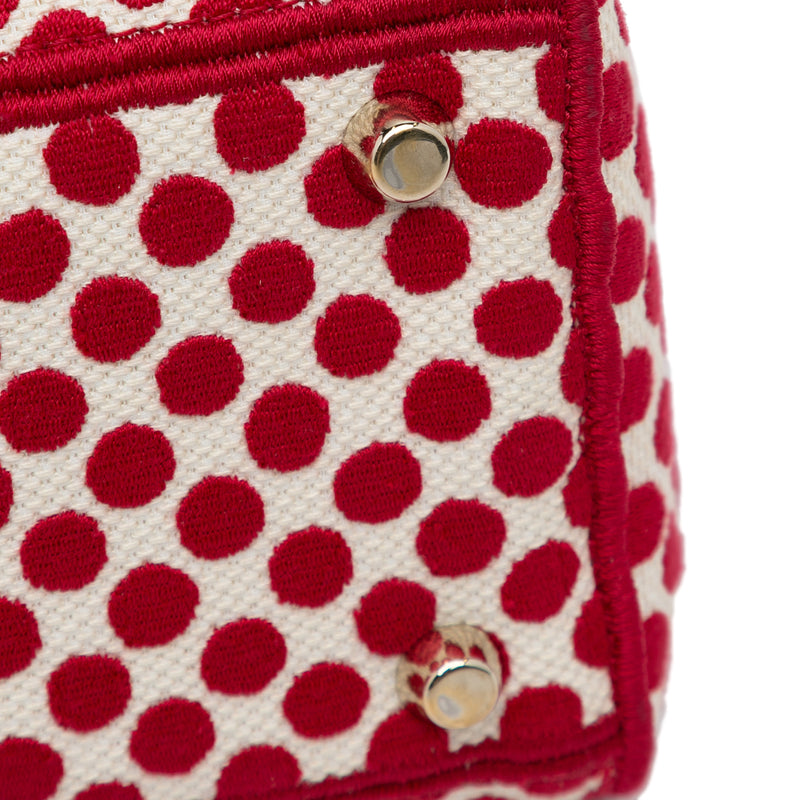 DiorAmour Medium Embroidered Canvas Dots Lady D Lite - Image 12