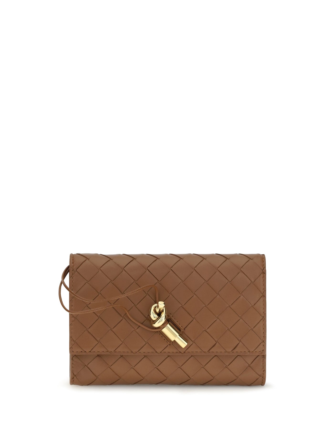 Bottega Veneta Andiamo Clutch — Bronze Lamb (ovis Aries)