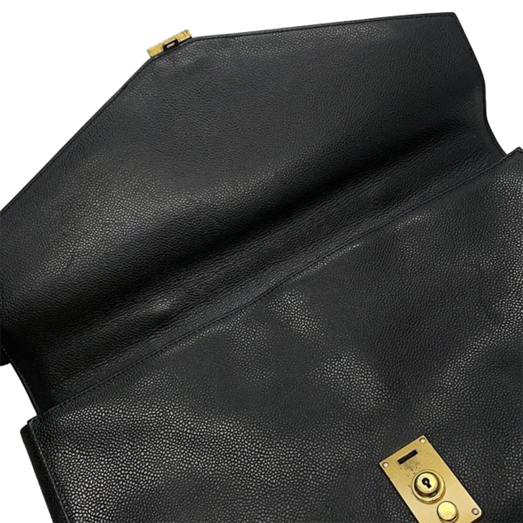 Caviar Briefcase - Image 8