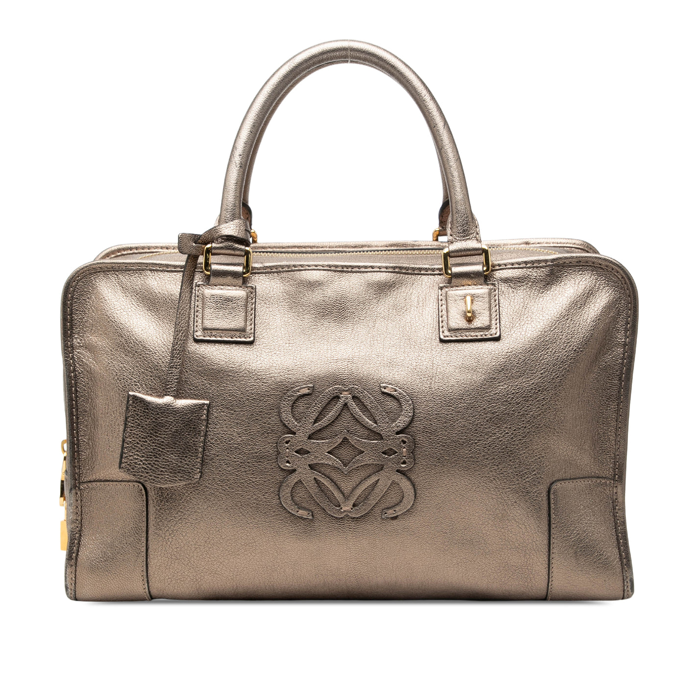 Metallic Goatskin Amazona 36 - Image 1