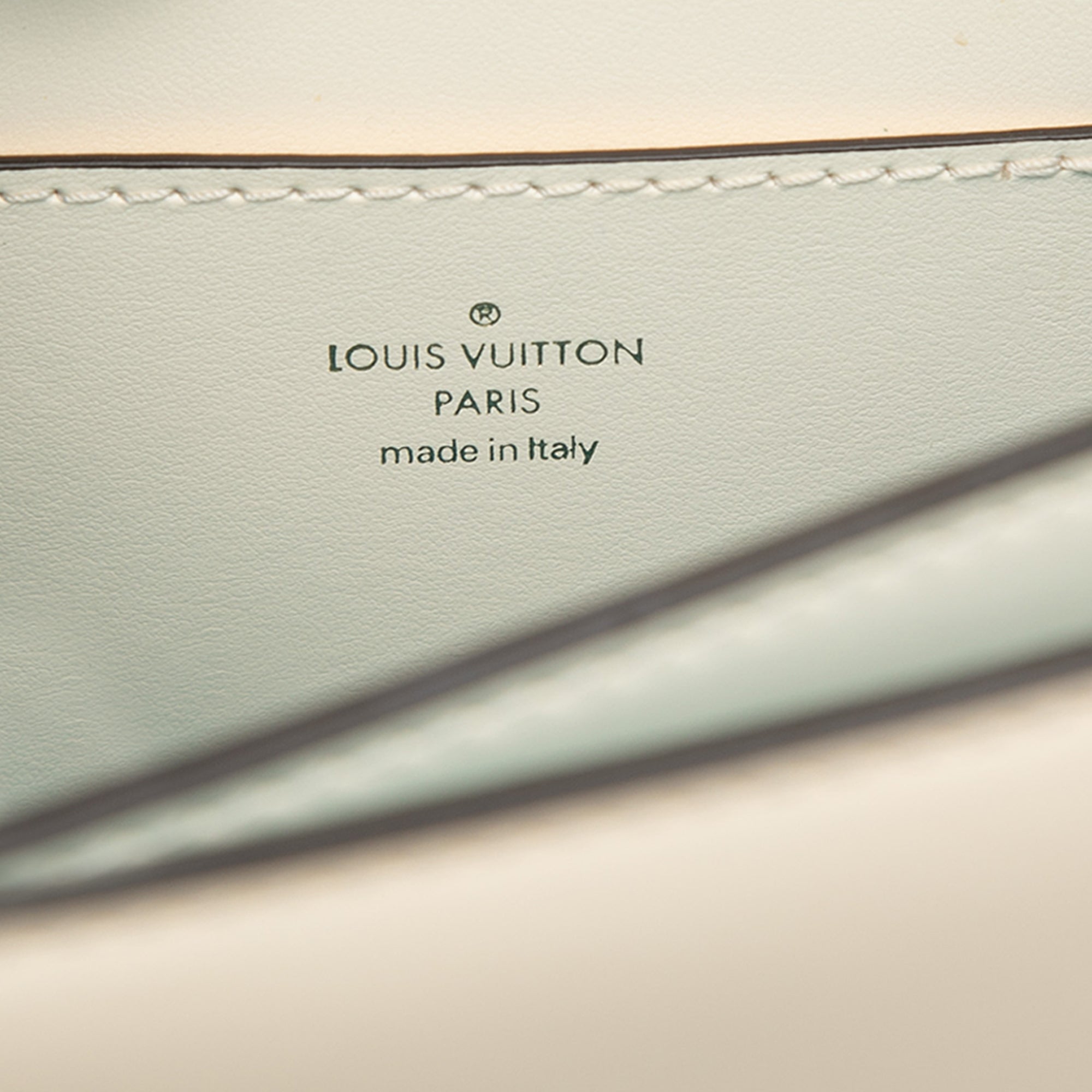 Calfskin LV Pont 9 Soft MM - Image 5