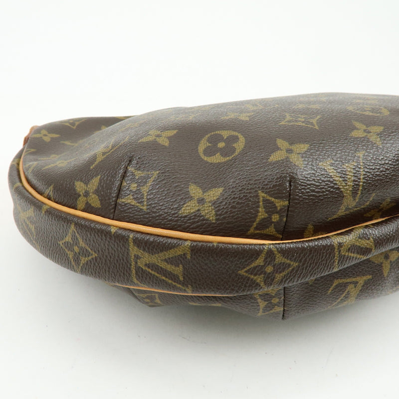 Louis Vuitton Croissant Monogram Canvas Brown Bag