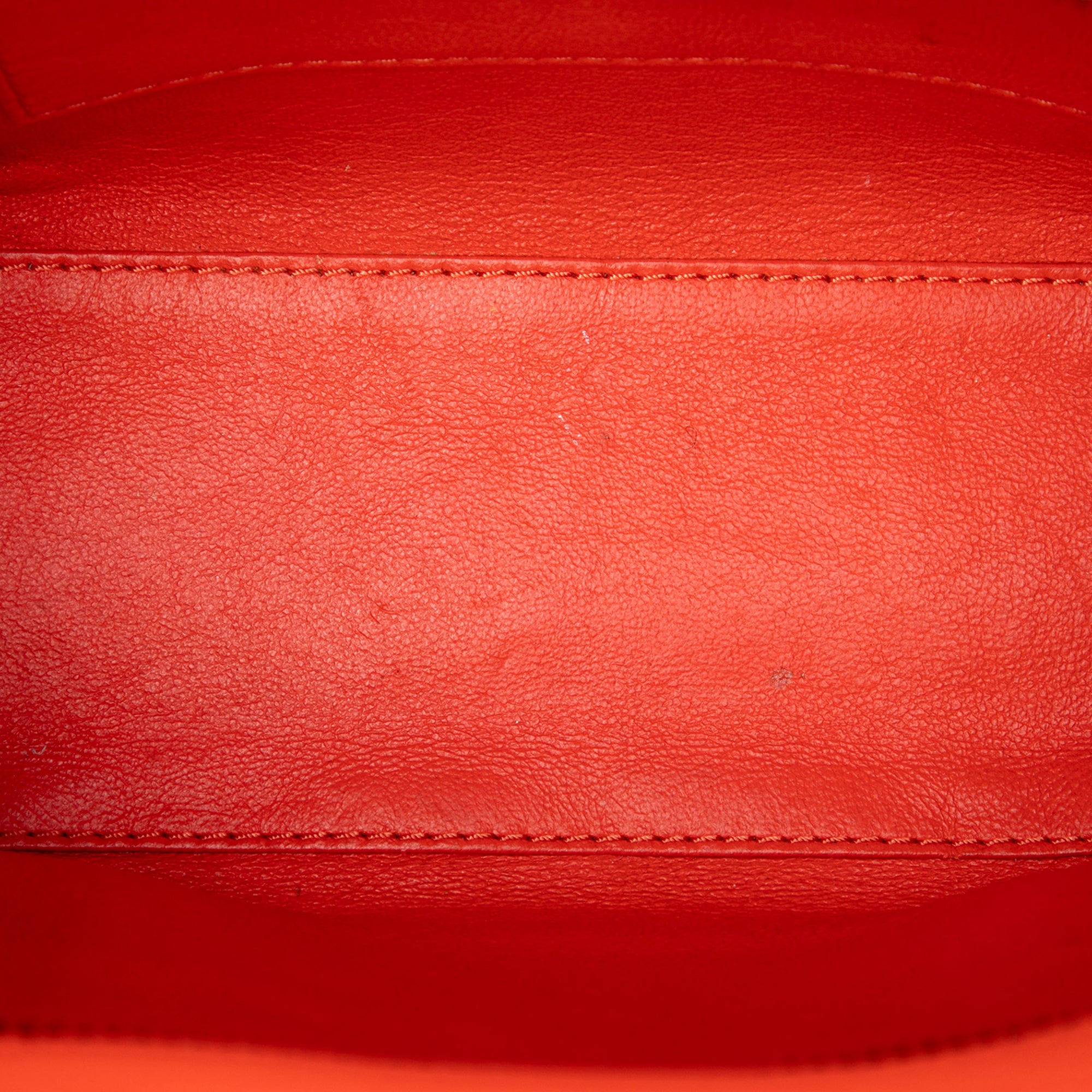 Nano Leather Luggage Tote - Image 4