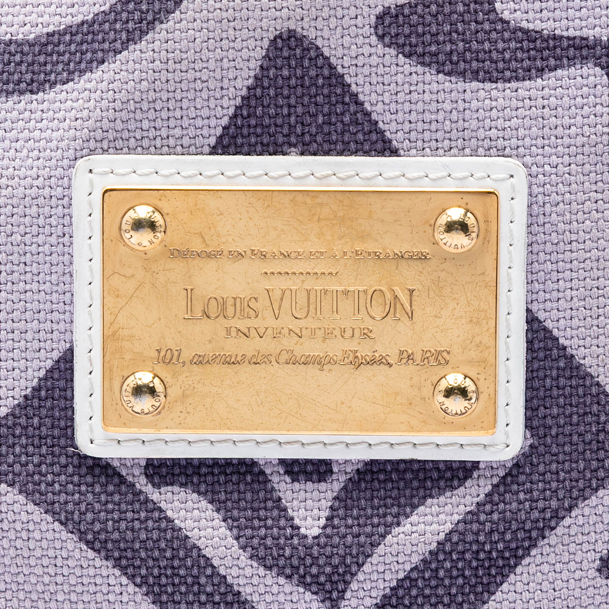 Monogram Tahitienne Cabas PM - Image 5