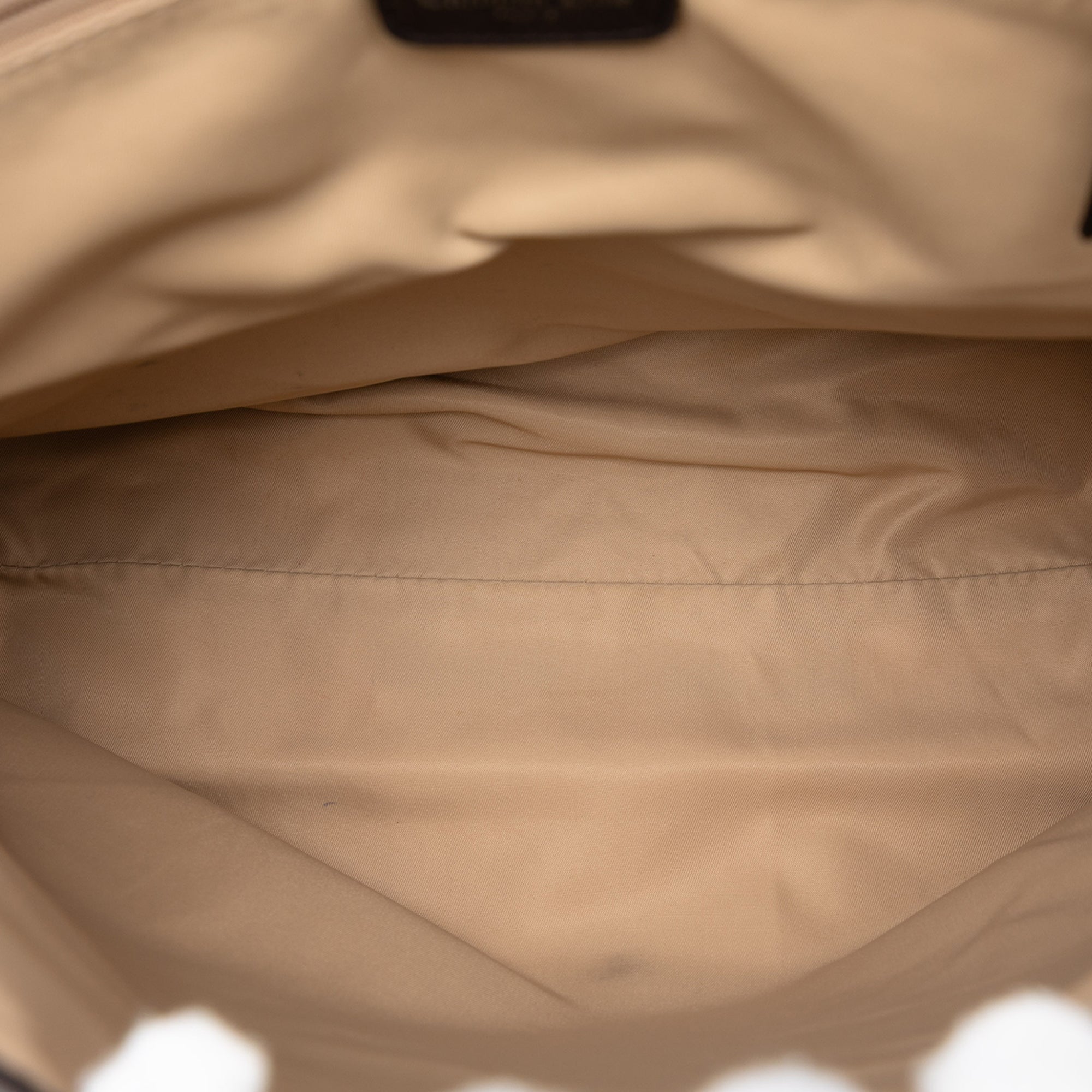 Diorissimo Trotter Canvas Street Chic Crossbody - Image 4
