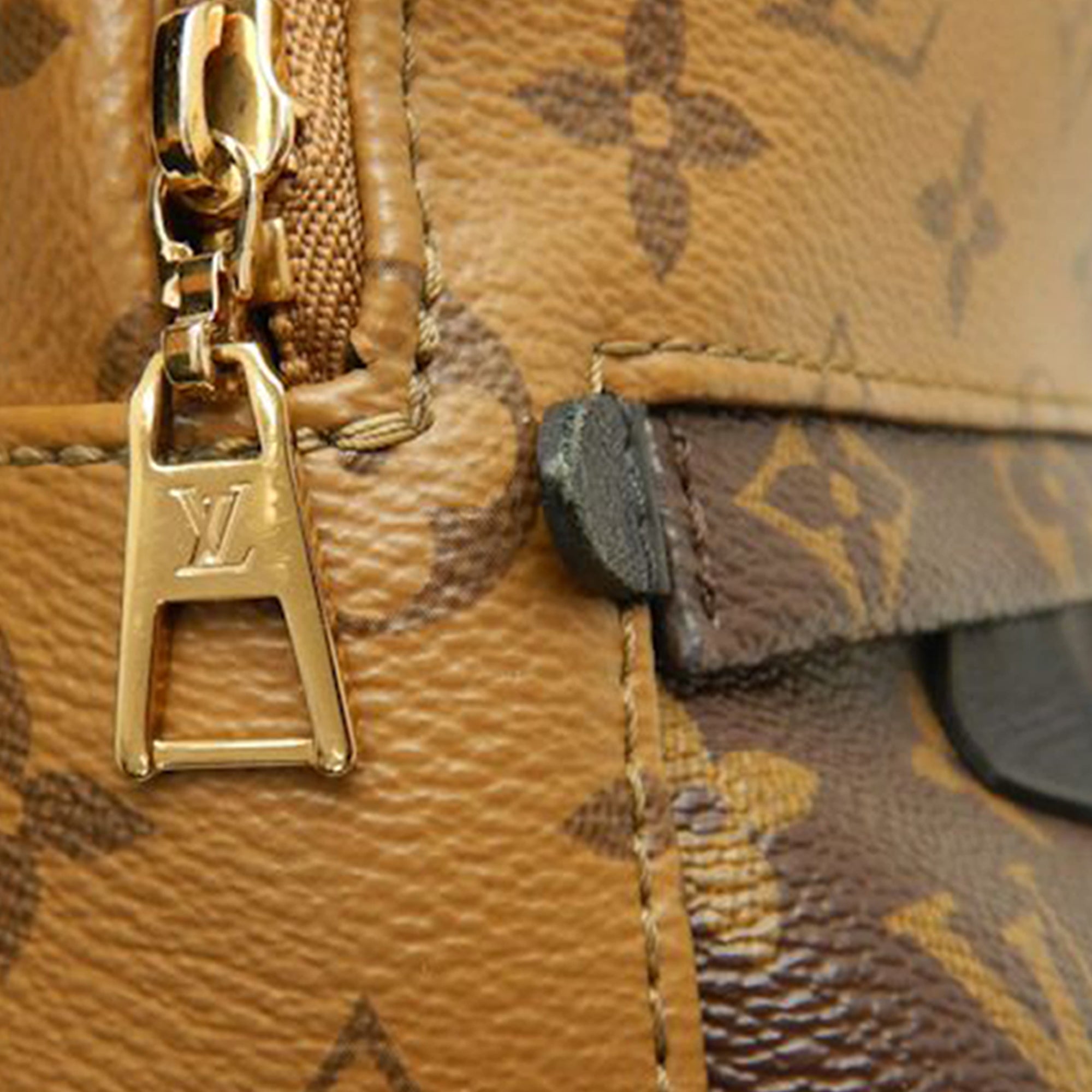Monogram Reverse Mini Palm Springs - Image 13