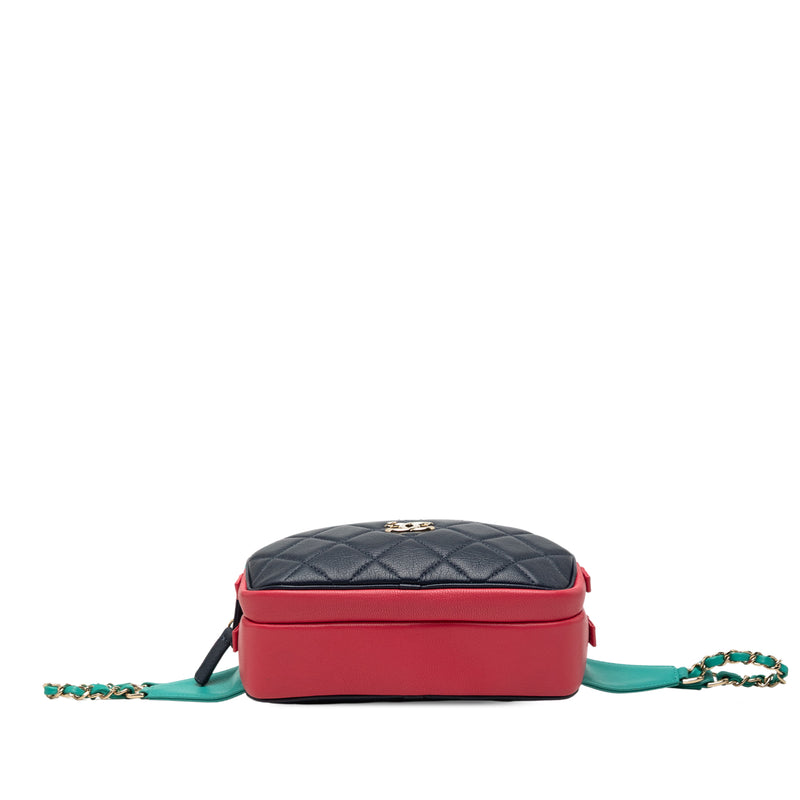 Tricolor Quilted Goatskin In and Out Belt Bag - Image 3
