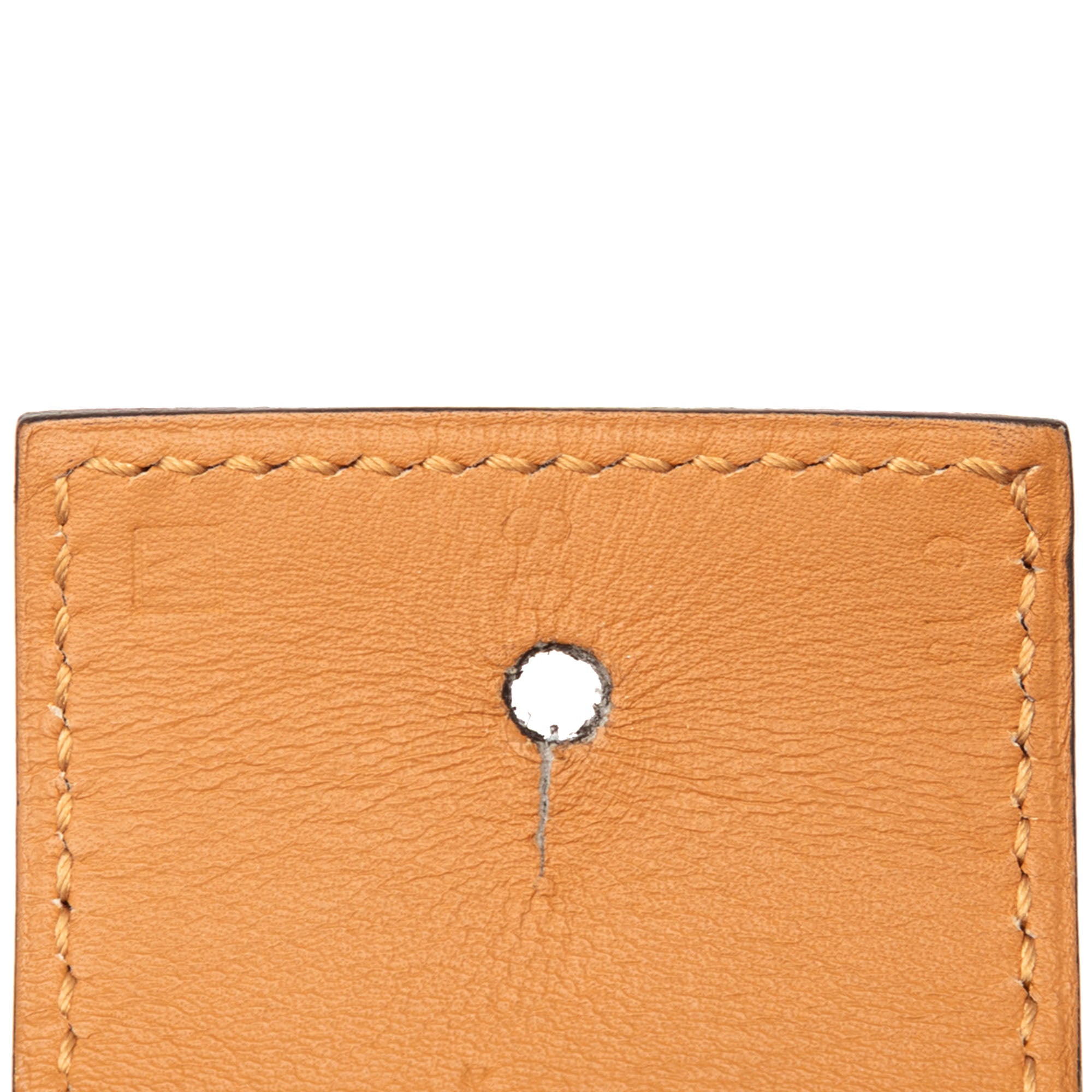 Chevre Mysore Collier de Chien Shadow Belt S - Image 5