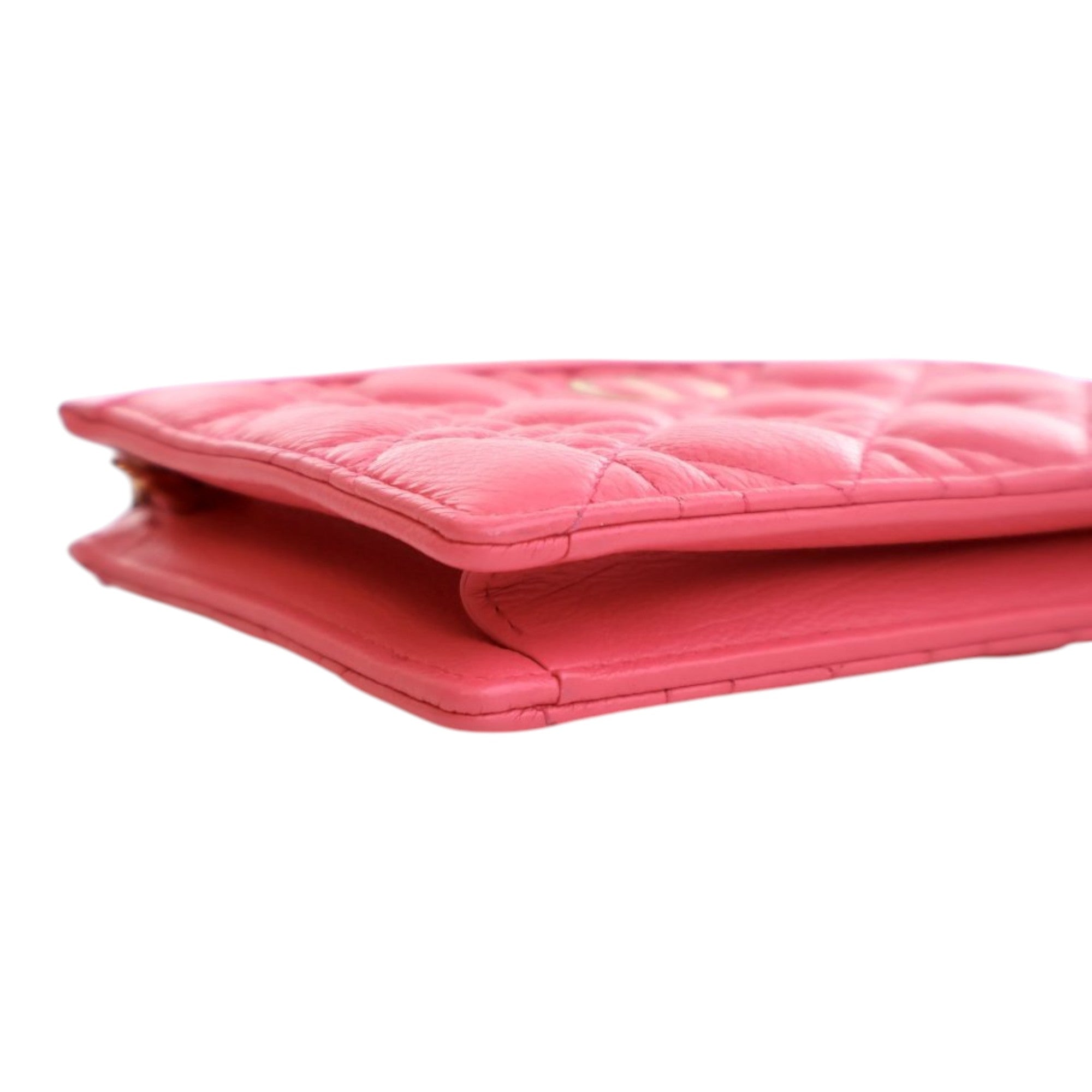 Supple Cannage Calfskin Caro Every Dior Pouch - Image 10
