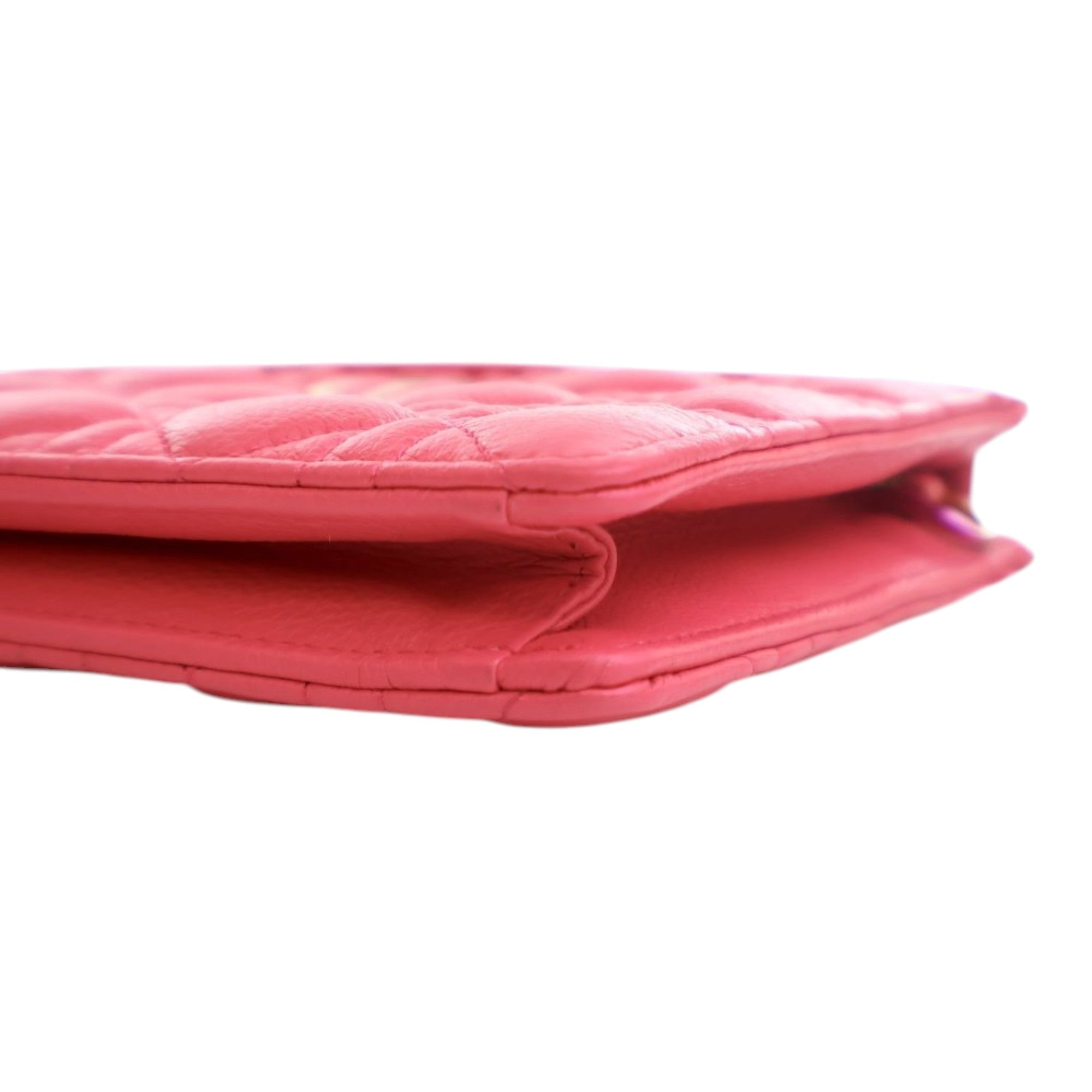 Supple Cannage Calfskin Caro Every Dior Pouch - Image 11