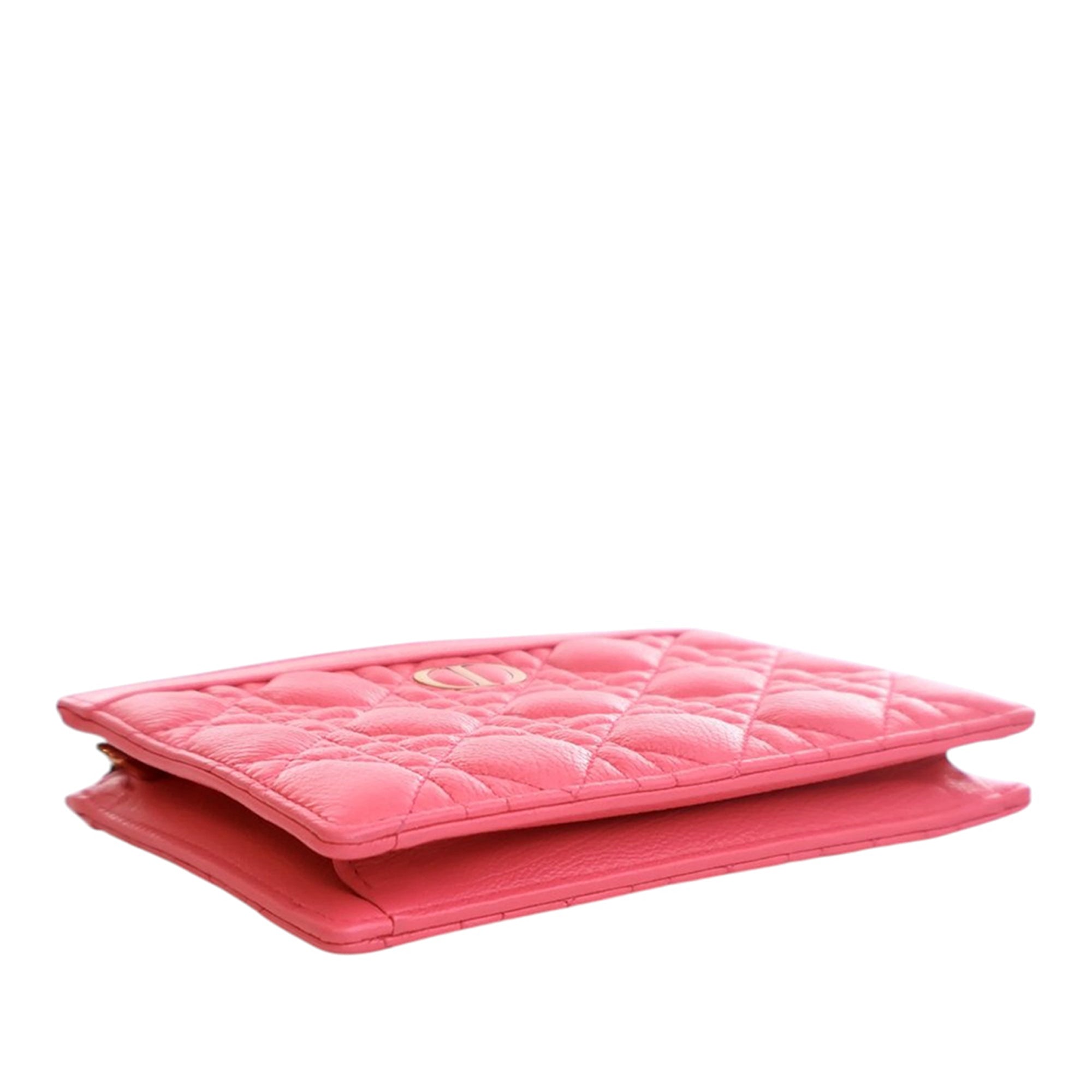 Supple Cannage Calfskin Caro Every Dior Pouch - Image 12