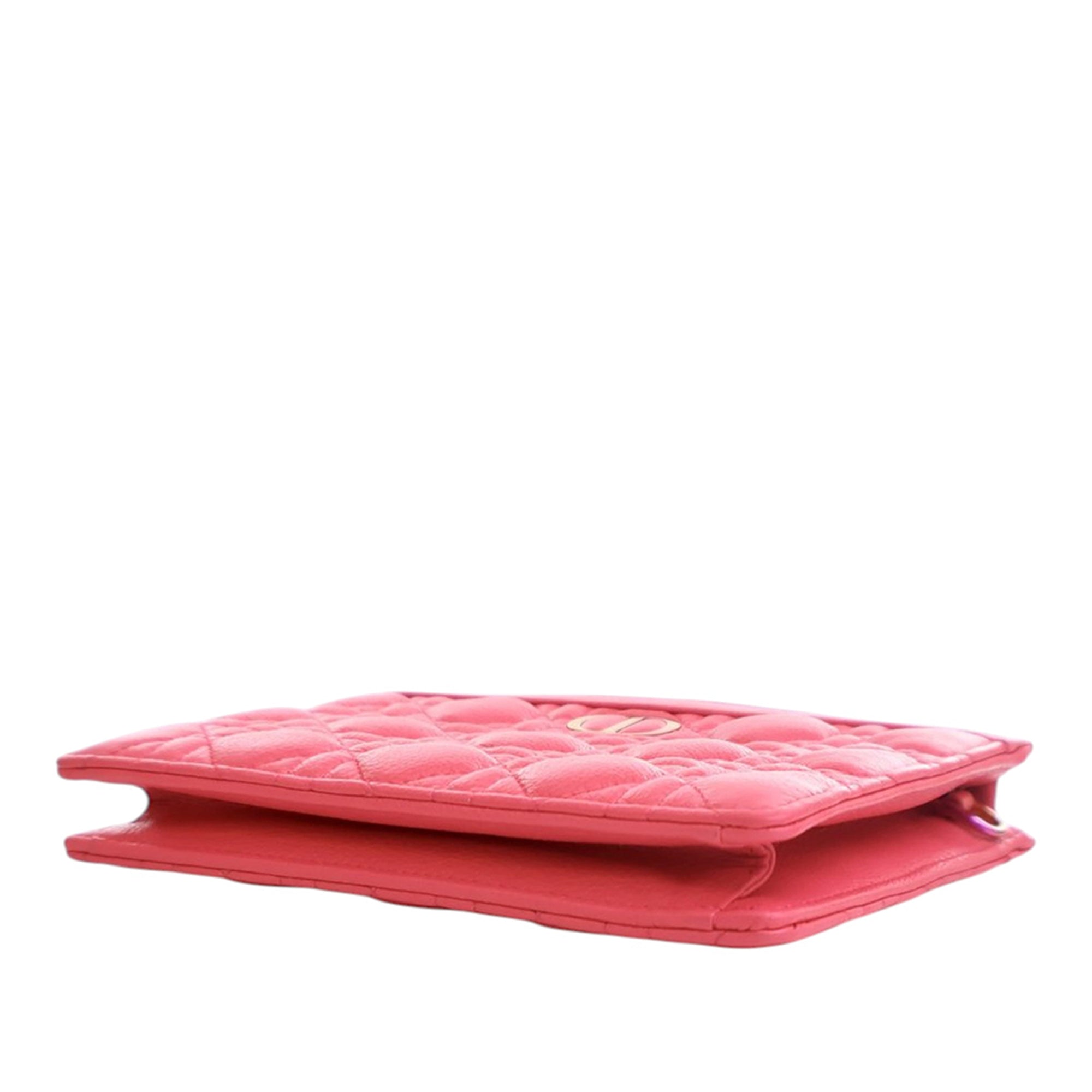 Supple Cannage Calfskin Caro Every Dior Pouch - Image 13
