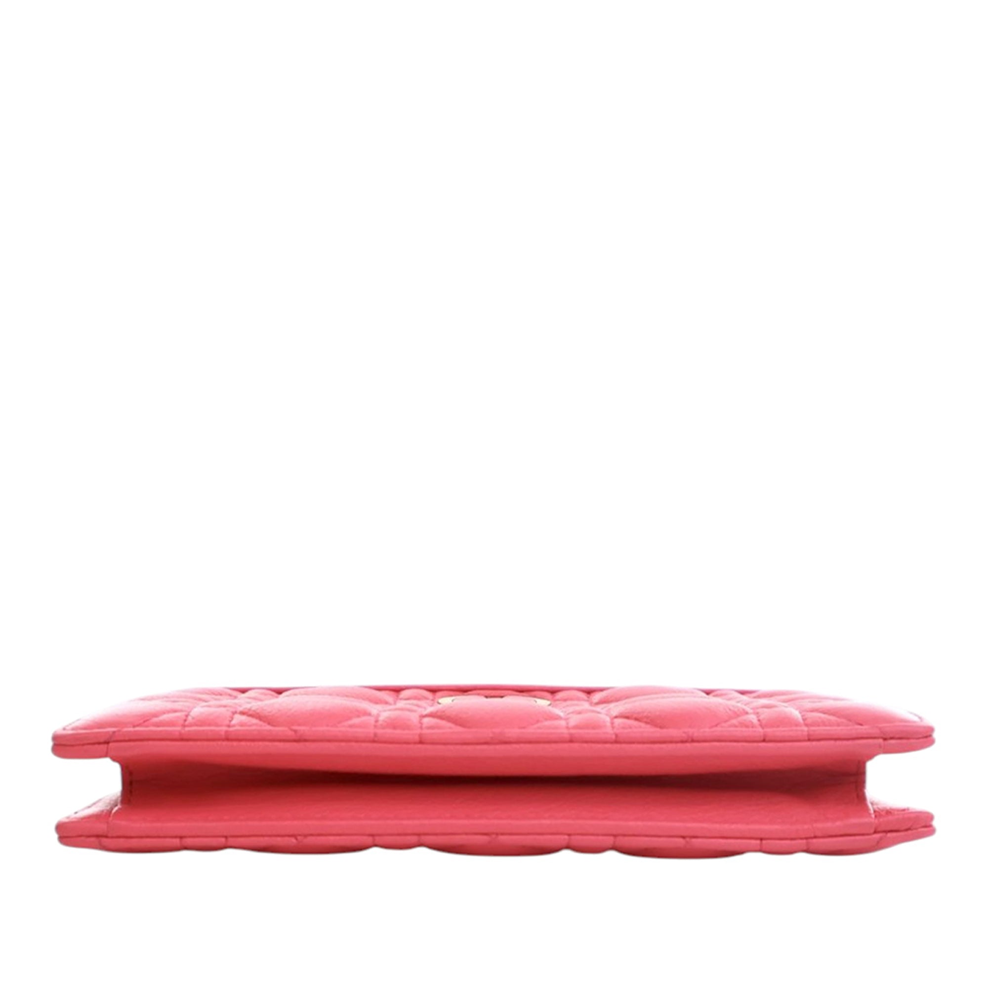 Supple Cannage Calfskin Caro Every Dior Pouch - Image 5