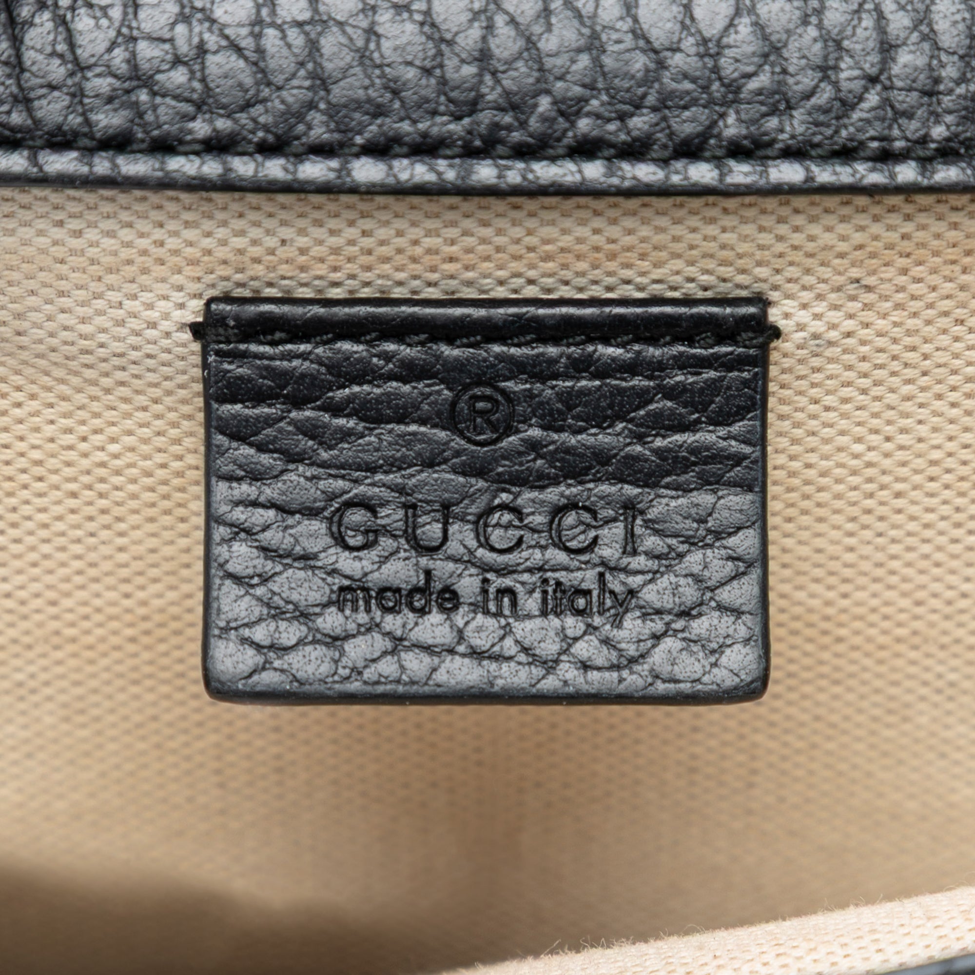 Medium Calfskin Dionysus Shoulder Bag - Image 5