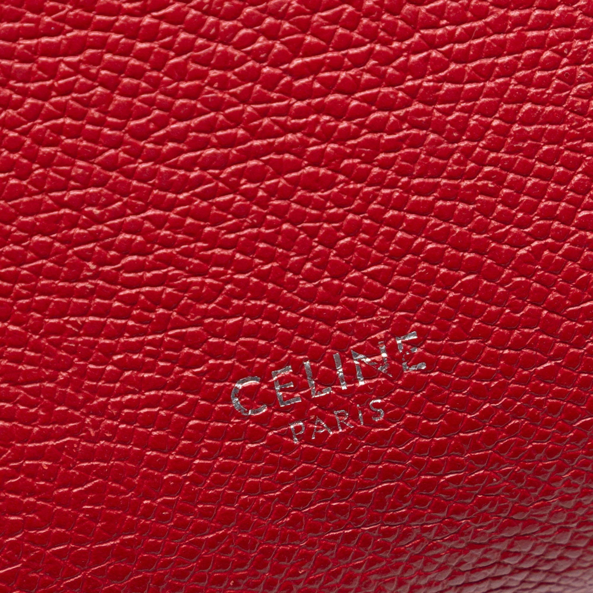 Nano Grained Calfskin Belt Bag - Image 5