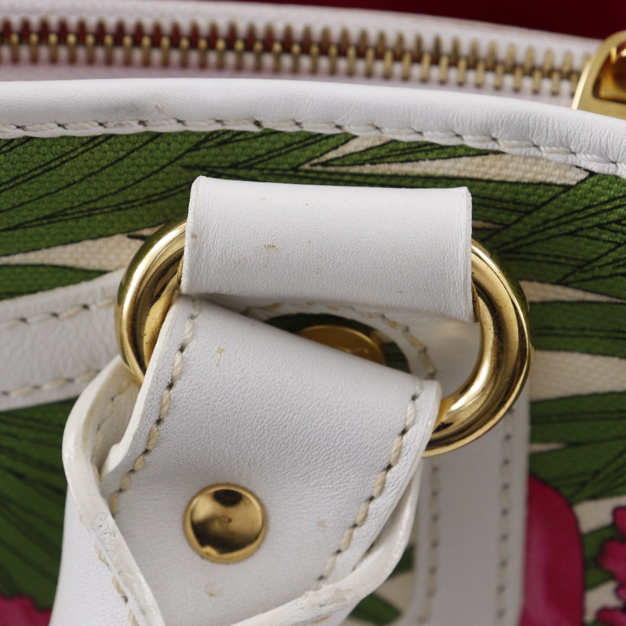 Canvas Botanical Print Boogie Handbag - Image 15