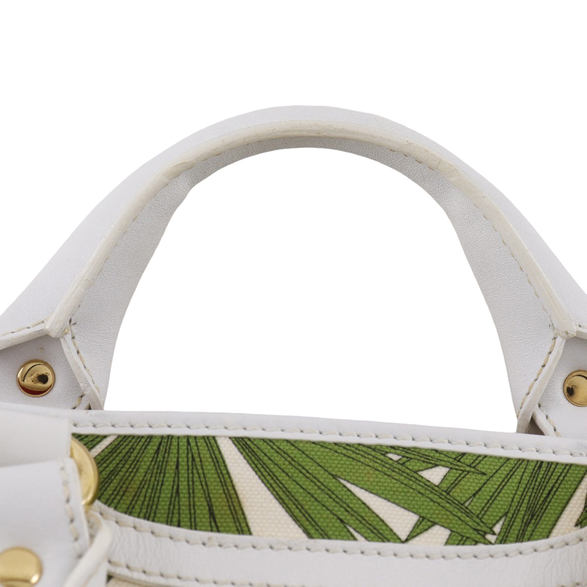 Canvas Botanical Print Boogie Handbag - Image 8