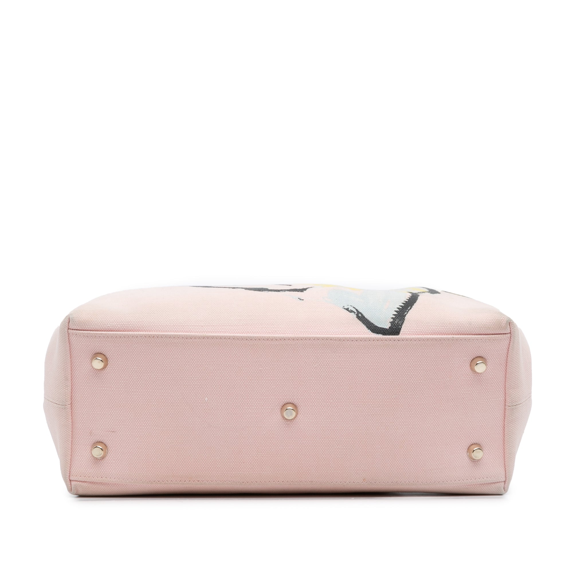 Limited Edition Medium Canvas Floral Printed Diorissimo Satchel - Image 3