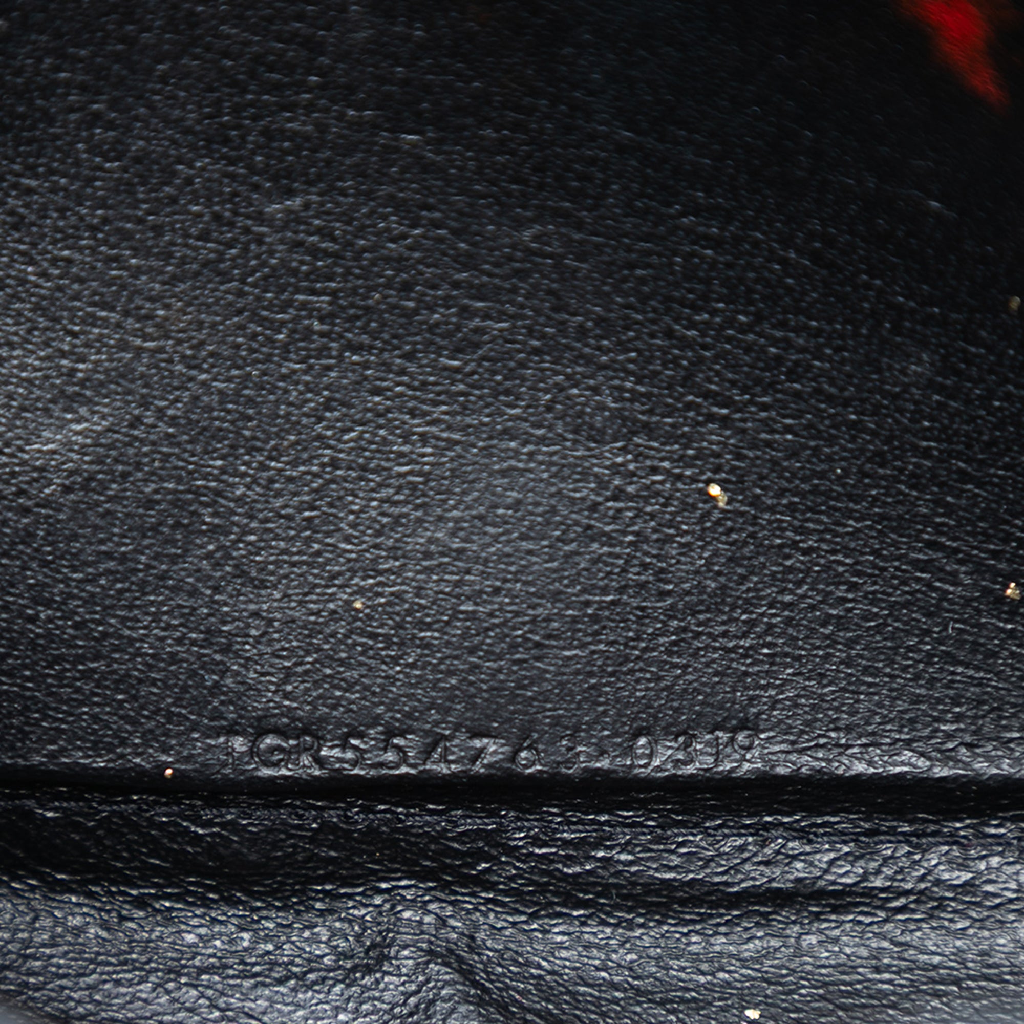 Bicolor Leather Monogram Sulpice Wallet on Chain - Image 5