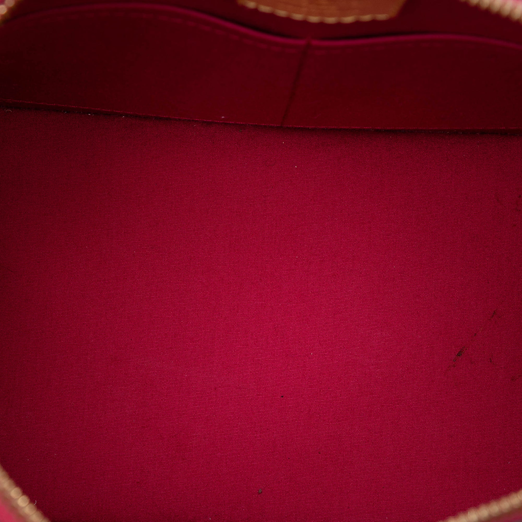 Monogram Vernis Alma PM - Image 4