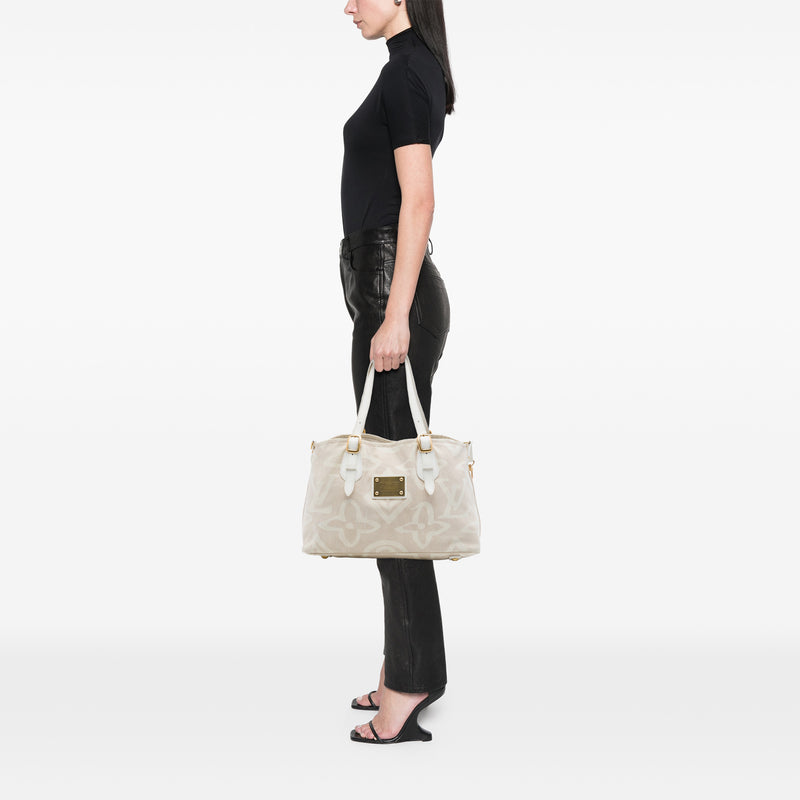Monogram Tahitienne Cabas PM - Image 6