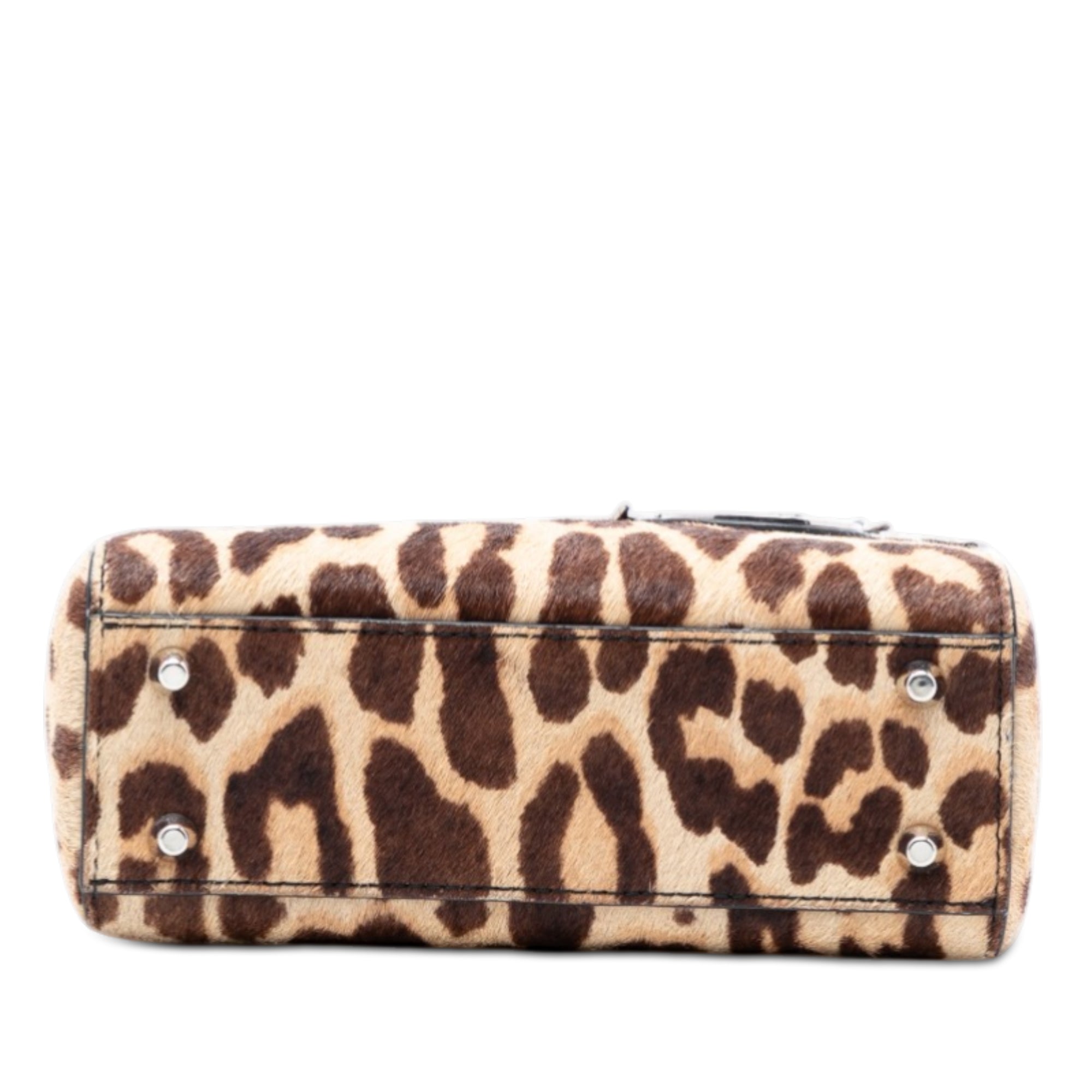 Mini Pony Hair Leopard Print Lady Dior - Image 3