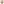         Anagram Canvas Crossbody - Image 1
