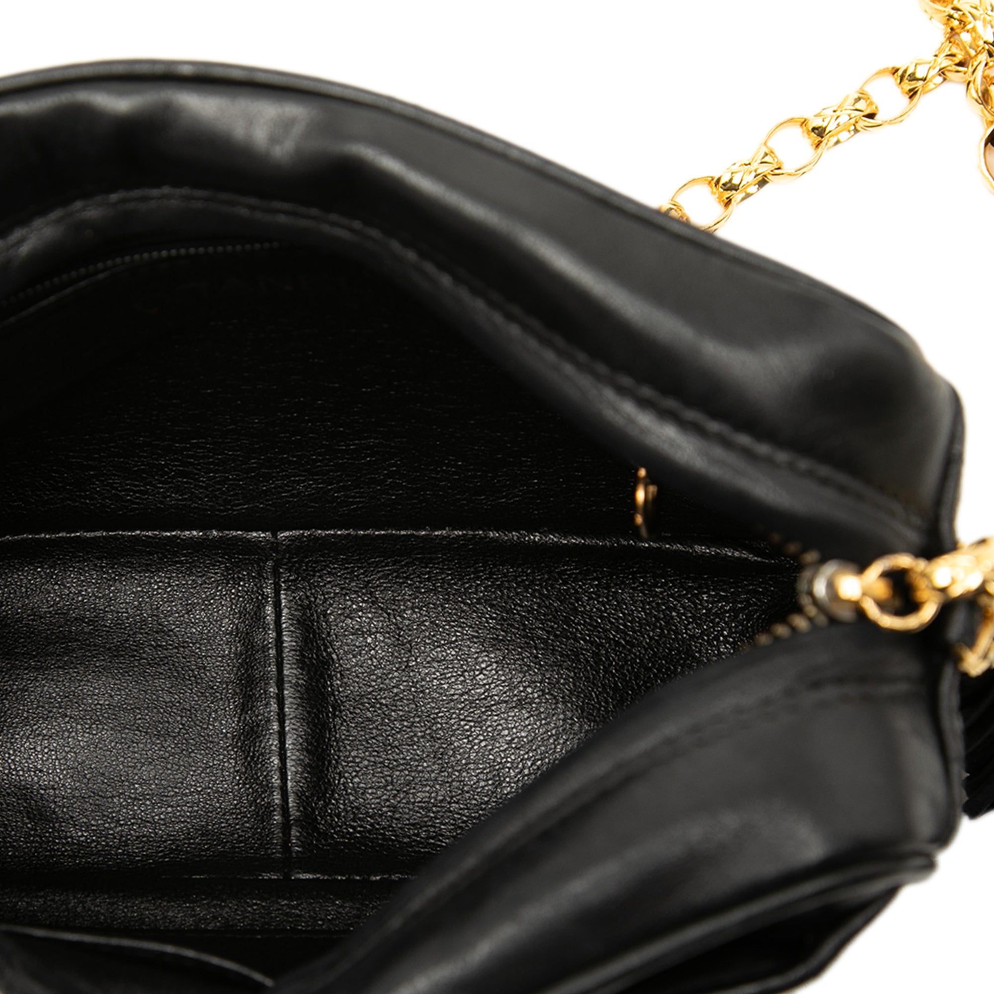 CC Vertical Quilted Lambskin Tassel Camera Bag - Image 4